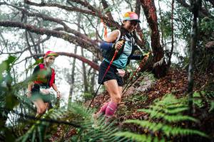 BIB: 
                            <button type="button" onclick="openModal(26297251)" class="btn btn-primary btn-sm float-right btn-popup" data-toggle="modal" data-target=".modal-high-quality">
                        <i class="fas fa-shopping-cart"></i> Add to Cart
                    </button>
                                            <button type="button" onclick="isThisMe(26297251, true)" class="btn btn-success btn-sm float-right btn-popup btn-isme hidden" data-toggle="tooltip" data-placement="bottom" title="นี่คือรูปของคุณใช่ไหม คลิกที่นี่เพื่อเอาเข้าอัลบั้ม">
                        <i class="fas fa-plus"></i> Add to album
                    </button>
                    <button type="button" onclick="isThisMe(26297251, false)" class="btn btn-warning btn-sm float-right btn-popup btn-isnotme hidden">
                        <i class="fas fa-ban"></i> Remove from album
                    </button>